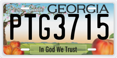 GA license plate PTG3715
