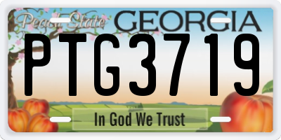 GA license plate PTG3719