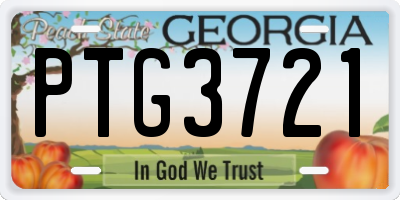 GA license plate PTG3721