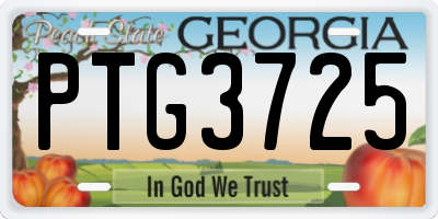 GA license plate PTG3725