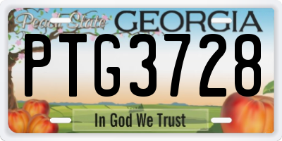 GA license plate PTG3728