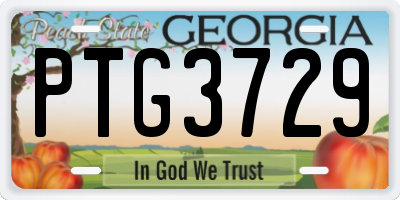 GA license plate PTG3729