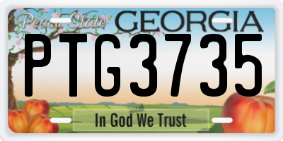 GA license plate PTG3735