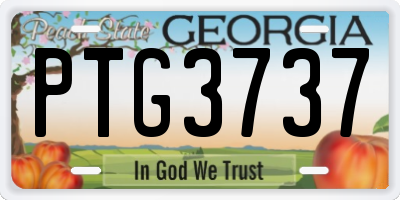 GA license plate PTG3737