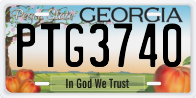 GA license plate PTG3740