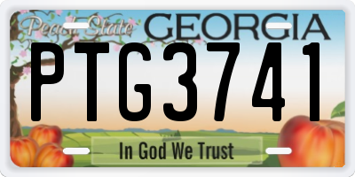 GA license plate PTG3741