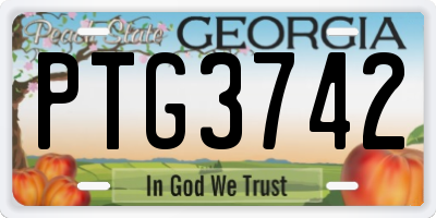 GA license plate PTG3742