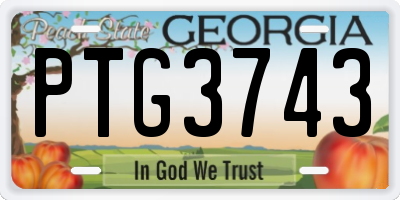 GA license plate PTG3743