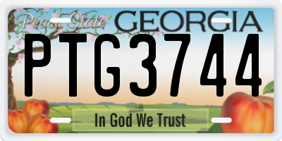 GA license plate PTG3744
