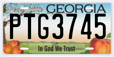 GA license plate PTG3745