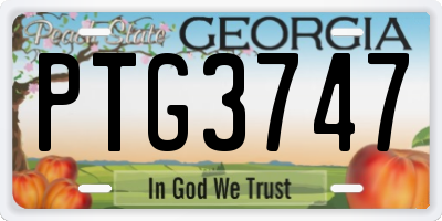 GA license plate PTG3747