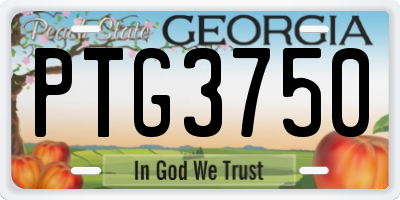 GA license plate PTG3750