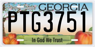 GA license plate PTG3751