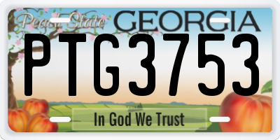 GA license plate PTG3753