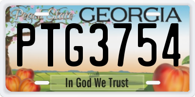 GA license plate PTG3754