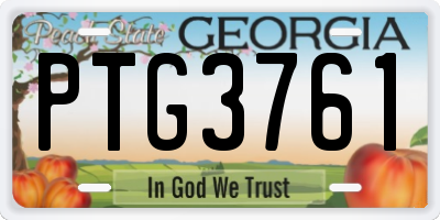 GA license plate PTG3761