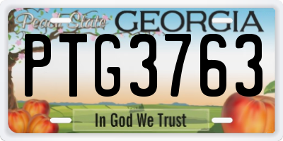 GA license plate PTG3763