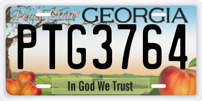 GA license plate PTG3764