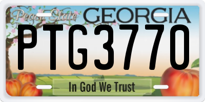 GA license plate PTG3770