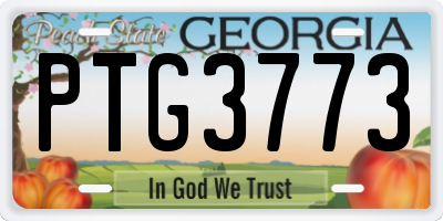 GA license plate PTG3773