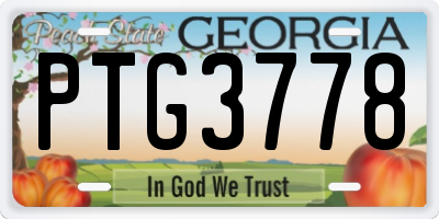 GA license plate PTG3778