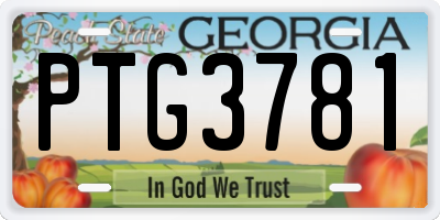 GA license plate PTG3781