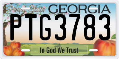 GA license plate PTG3783
