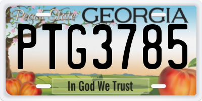 GA license plate PTG3785