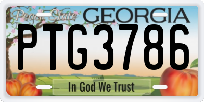 GA license plate PTG3786