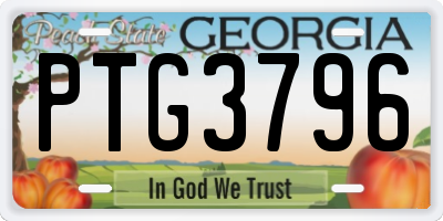 GA license plate PTG3796