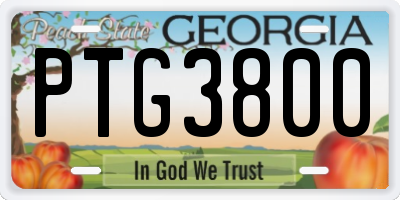 GA license plate PTG3800