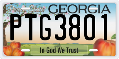 GA license plate PTG3801