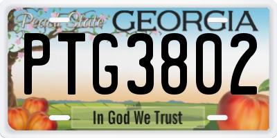 GA license plate PTG3802