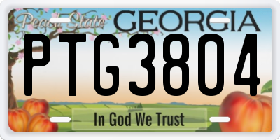 GA license plate PTG3804