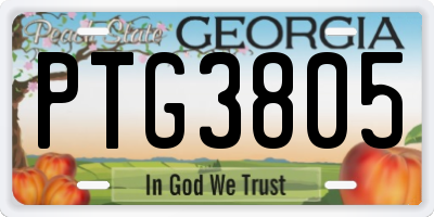 GA license plate PTG3805