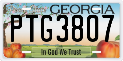 GA license plate PTG3807
