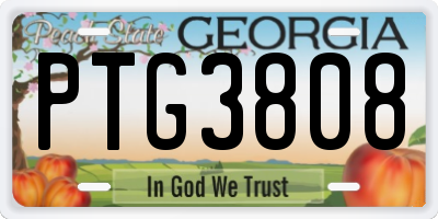 GA license plate PTG3808