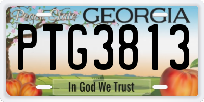 GA license plate PTG3813