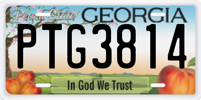 GA license plate PTG3814
