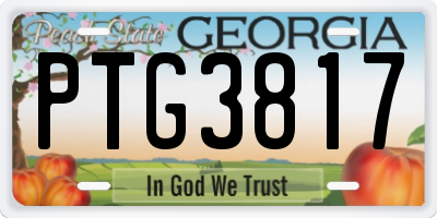 GA license plate PTG3817