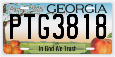 GA license plate PTG3818