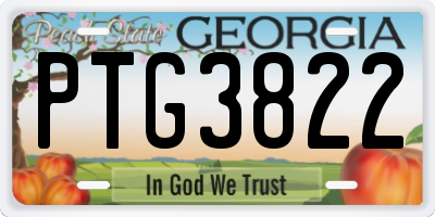 GA license plate PTG3822