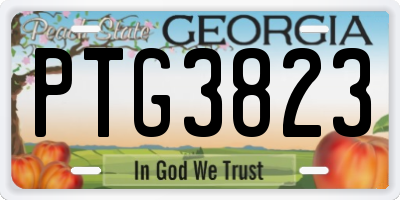 GA license plate PTG3823