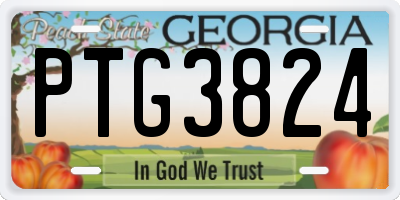 GA license plate PTG3824