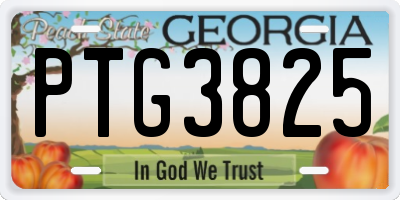 GA license plate PTG3825