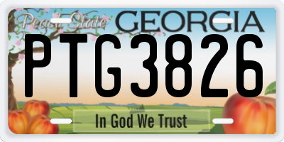 GA license plate PTG3826