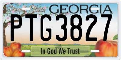 GA license plate PTG3827
