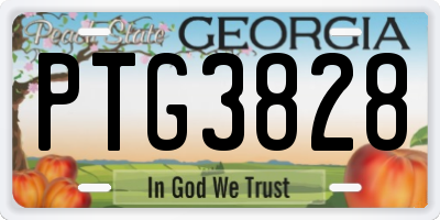GA license plate PTG3828