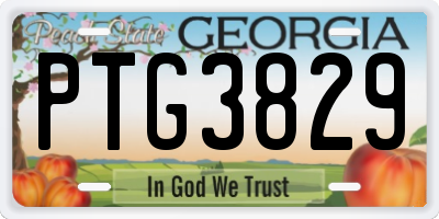 GA license plate PTG3829
