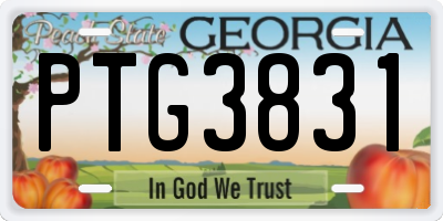 GA license plate PTG3831